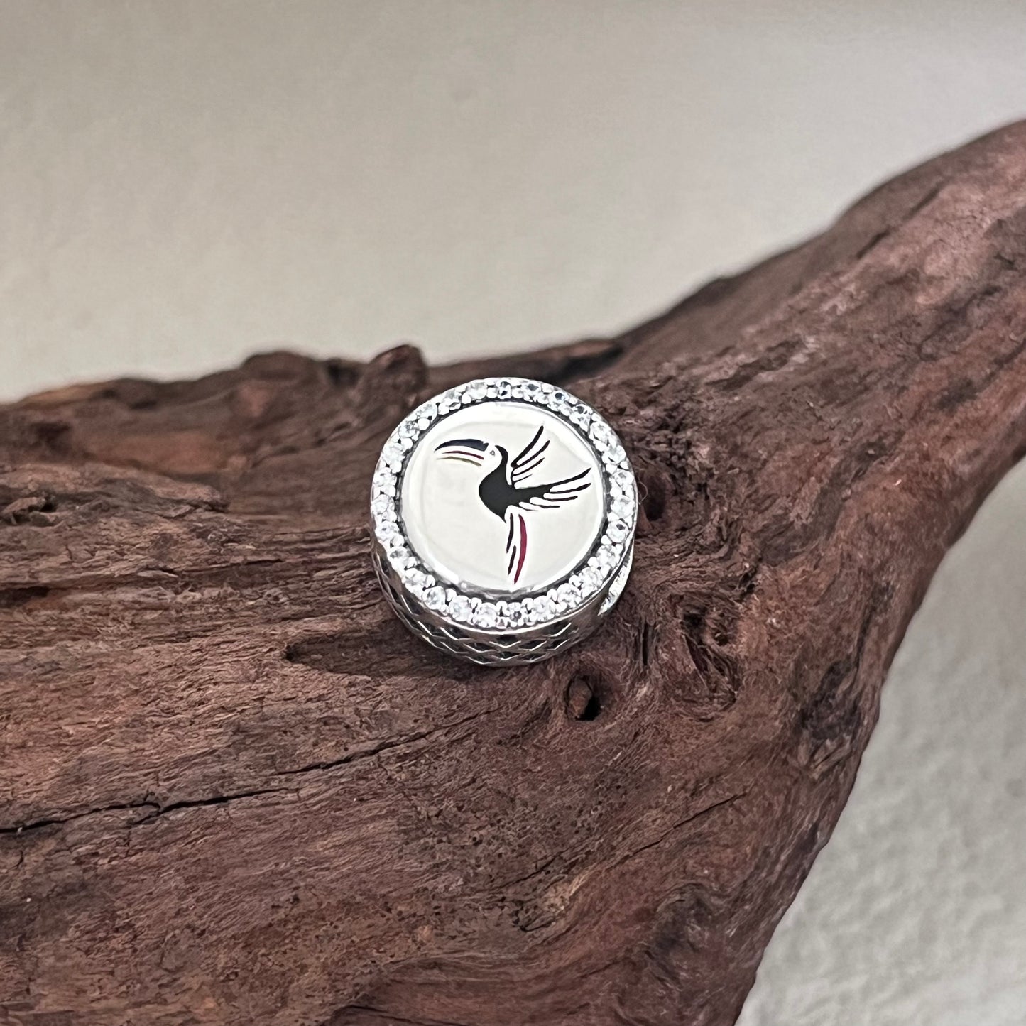 Belize Rainbow-billed Toucan Exclusive Bead Charm for Pandora Bracelet