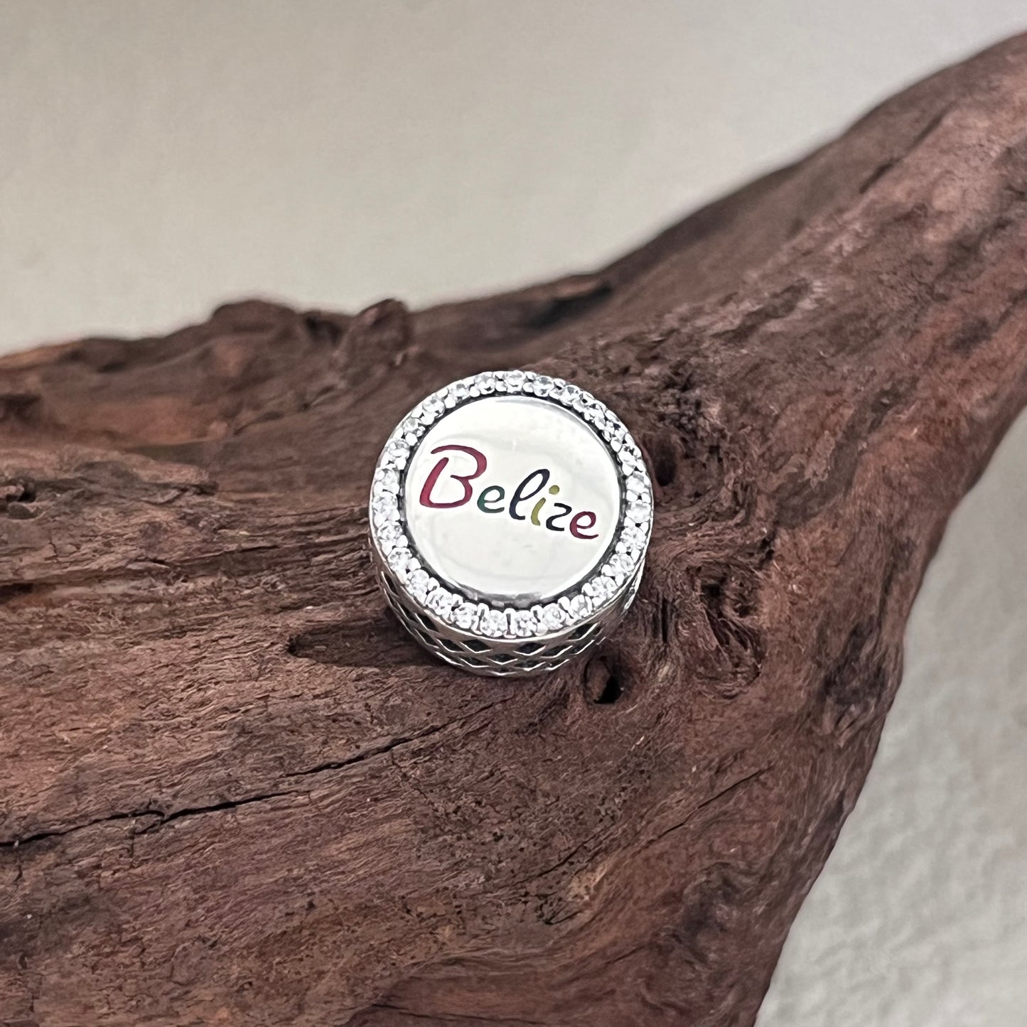Belize Rainbow-billed Toucan Exclusive Bead Charm for Pandora Bracelet