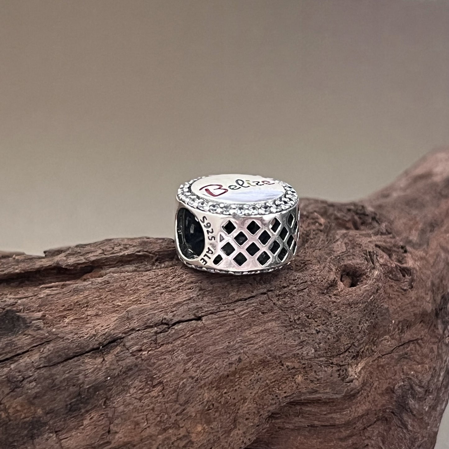 Belize Rainbow-billed Toucan Exclusive Bead Charm for Pandora Bracelet