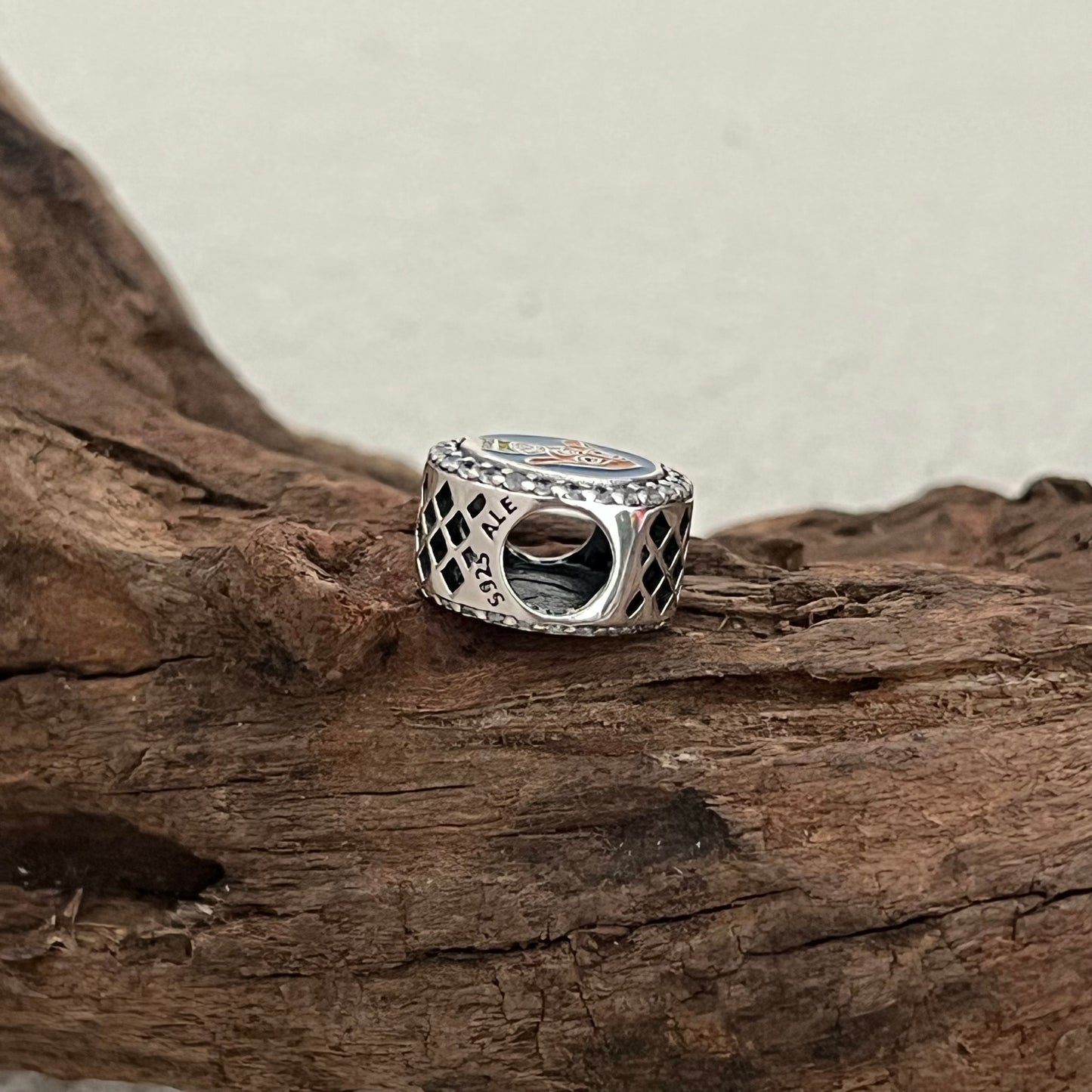 Wish Asha Exclusive Bead Charm for Pandora Bracelet