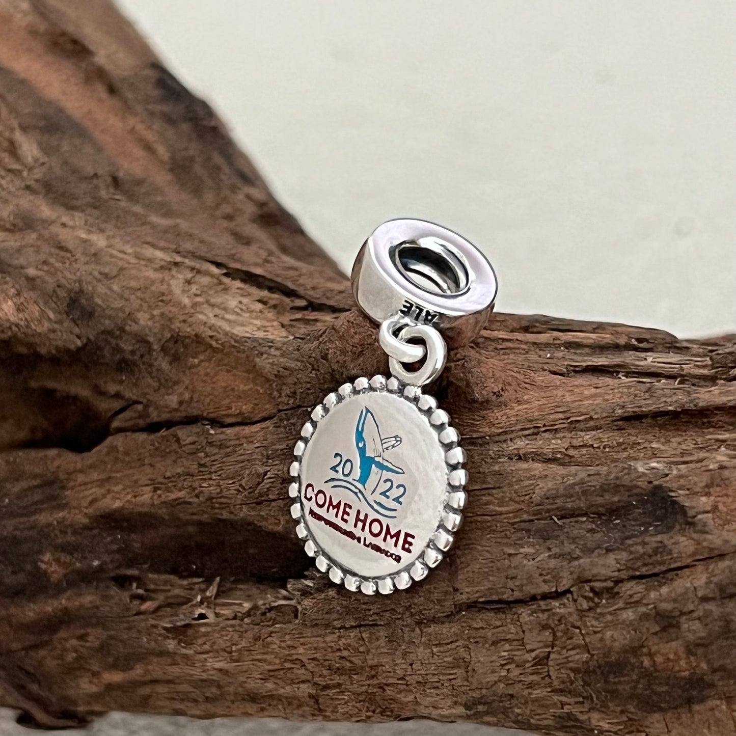 Come Home Year 2022 Exclusive Dangle Charm Pendant for Pandora Bracelet