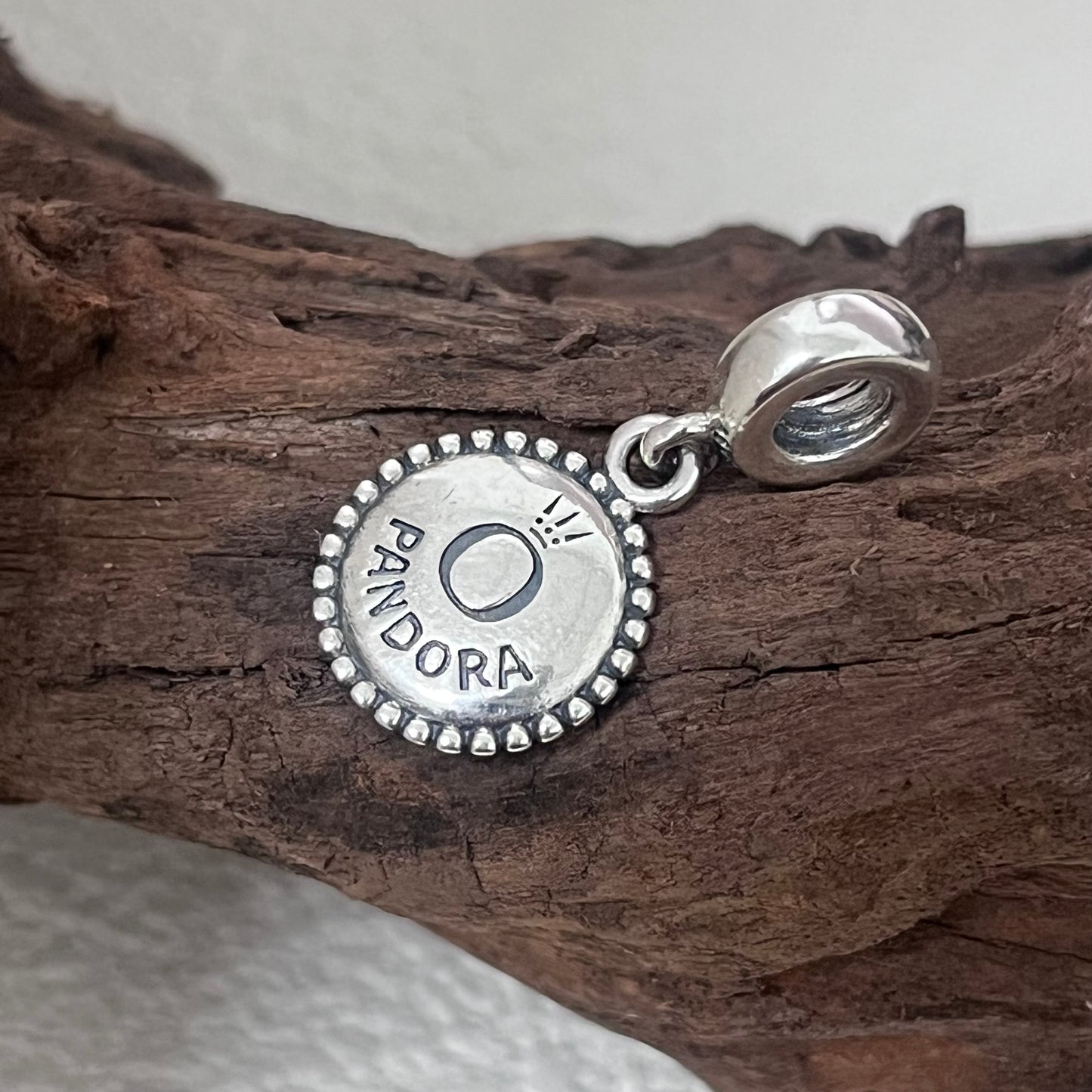 Florida Turtle Exclusive Dangle Charm Pendant for Pandora Bracelet