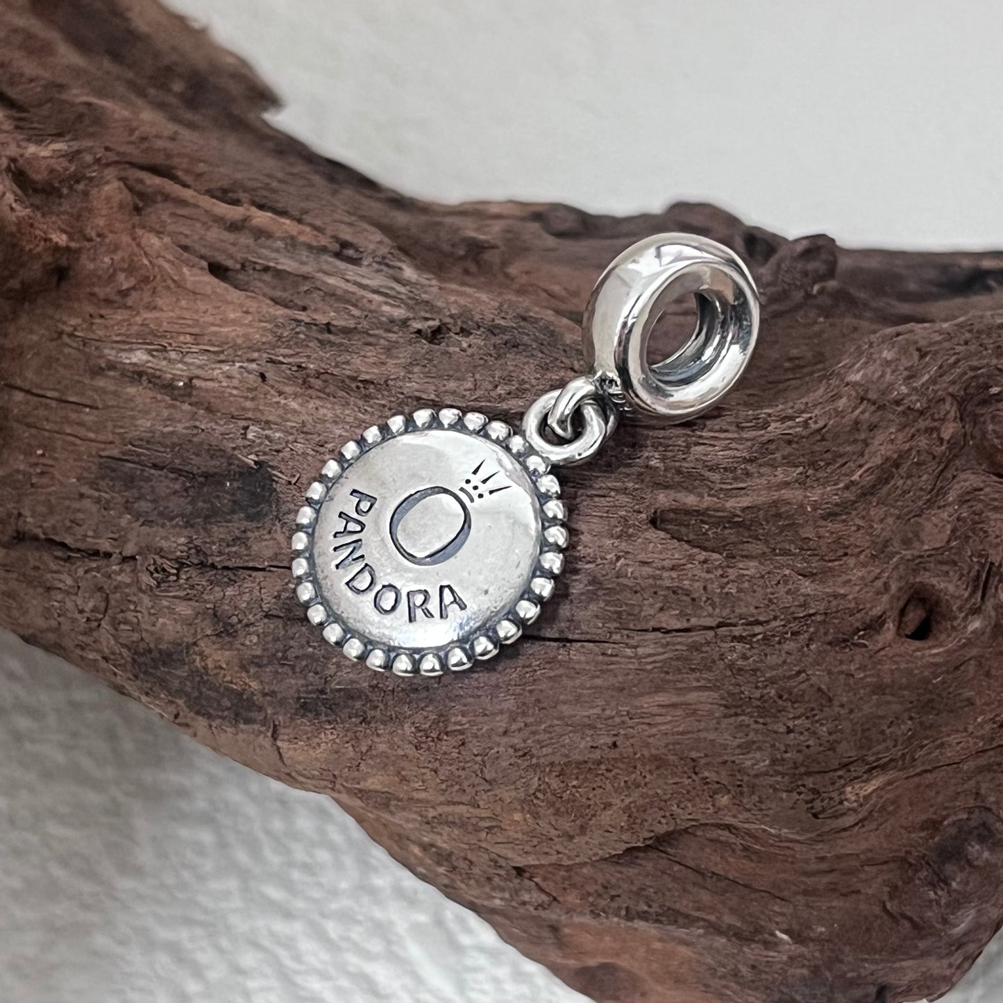 Charleston SC Exclusive Dangle Charm Pendant for Pandora Bracelet