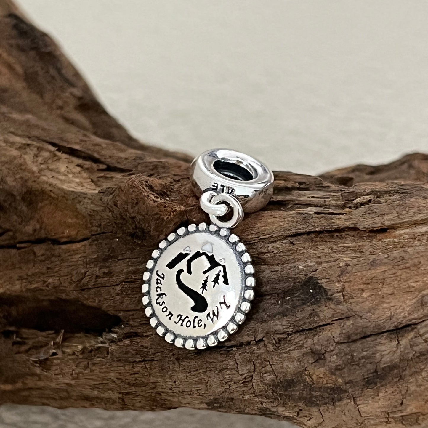 Jackson Hole .WY CHARM JH Tetons Exclusive Dangle Charm Pendant for Pandora Bracelet
