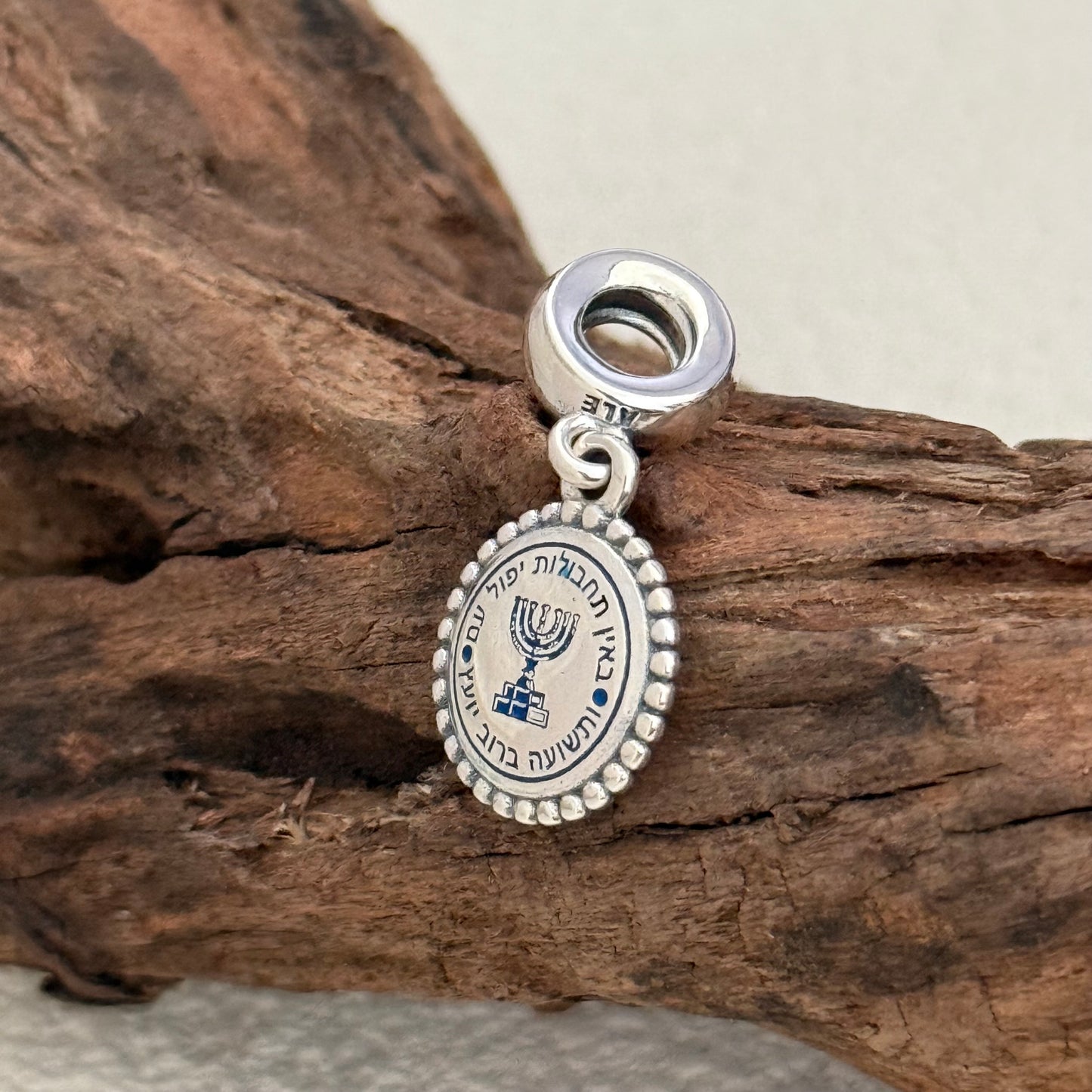 Pandora Mossad The Institute for Intelligence and Special Operations Exclusive Dangle Charm Pendant for Pandora Bracelet S925 Silver