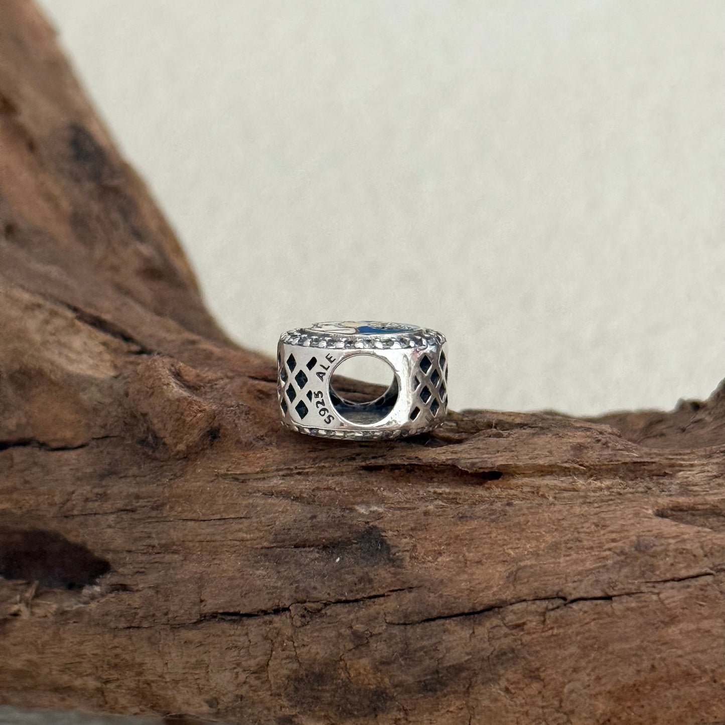 Disney Parks Encanto Exclusive Bead Charm for Pandora Bracelet