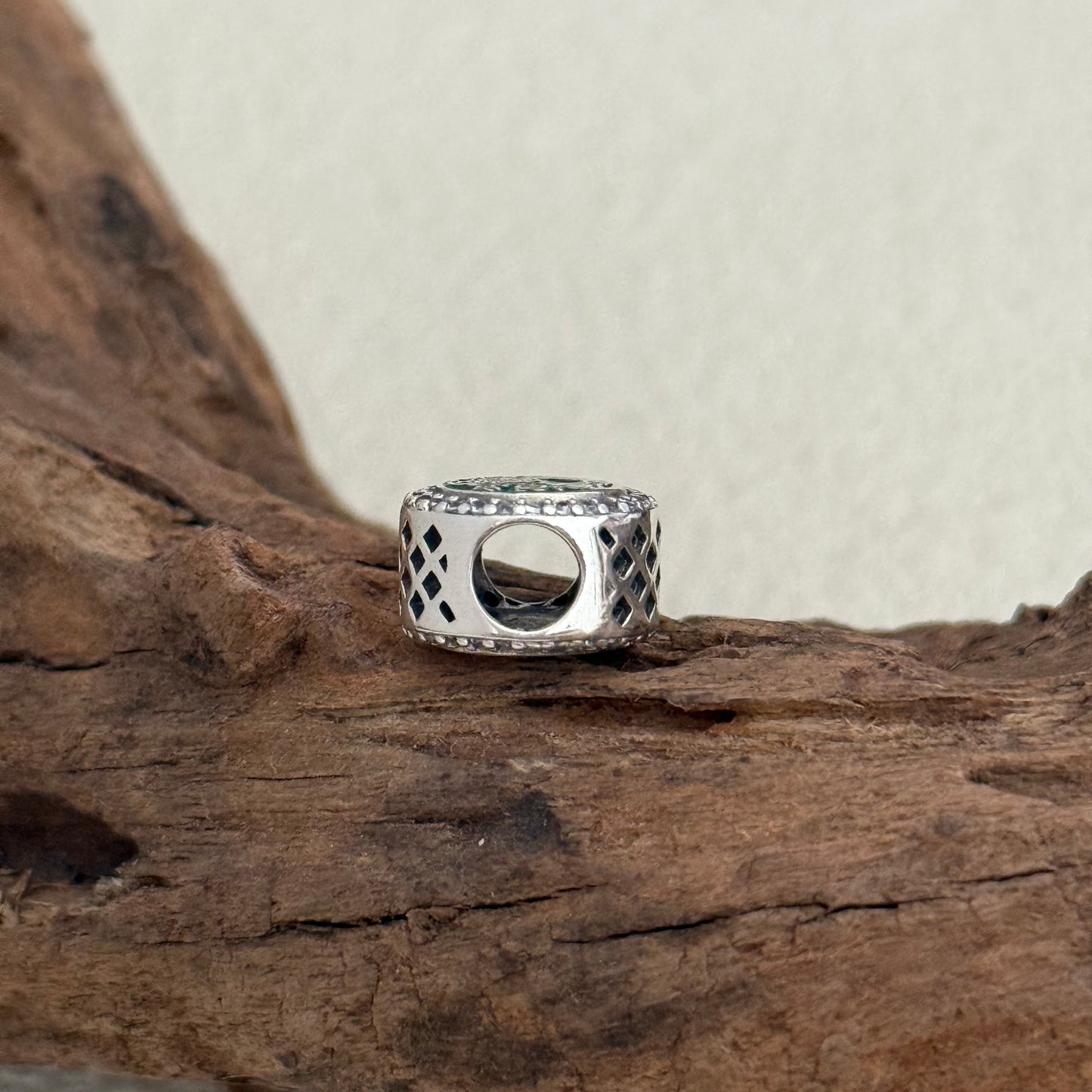 Disney Parks Encanto Exclusive Bead Charm for Pandora Bracelet