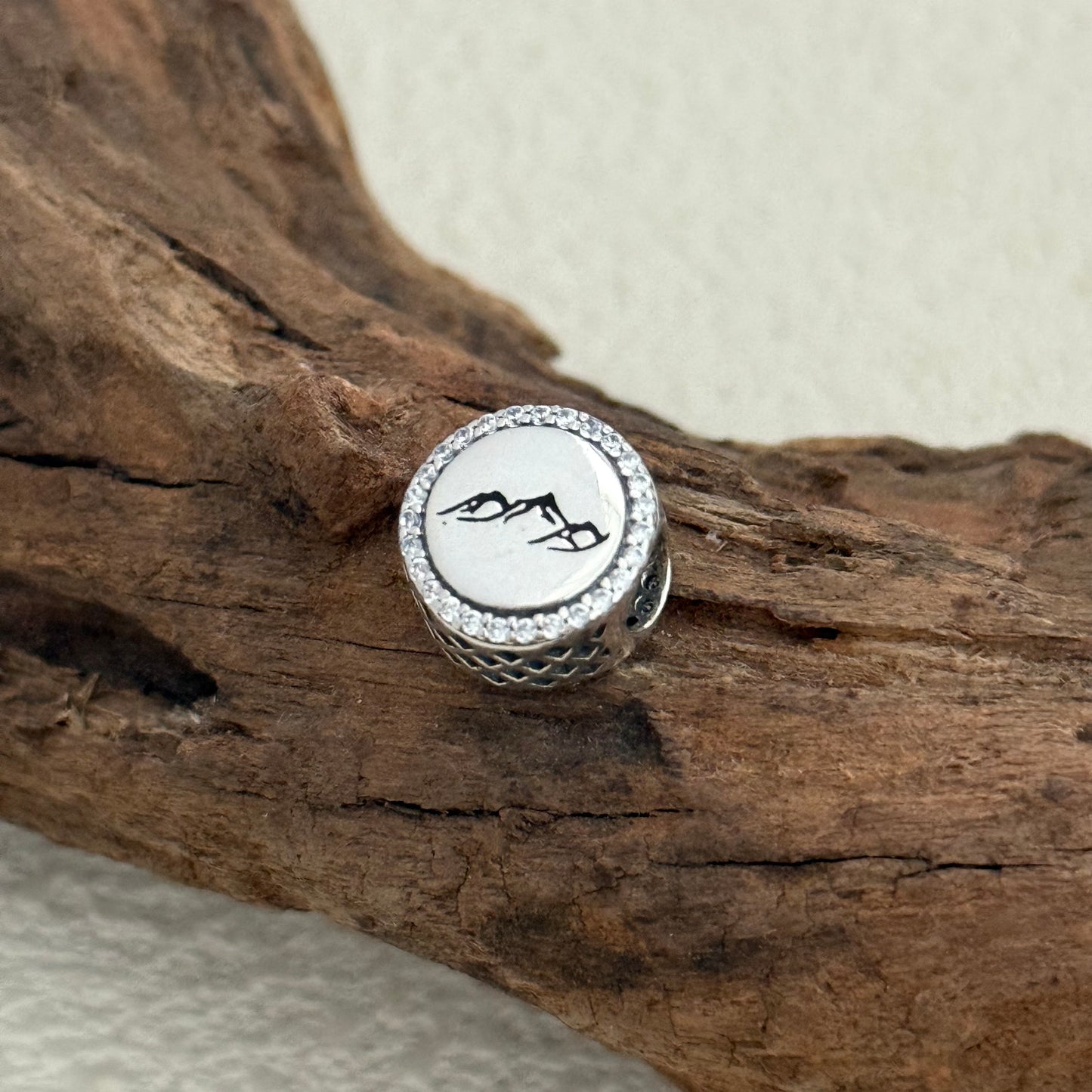 El Ávila Exclusive Bead Charm S925 Silver for Pandora Bracelet