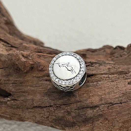 Pandora Colorado Exclusive Bead Charm for Pandora Bracelet