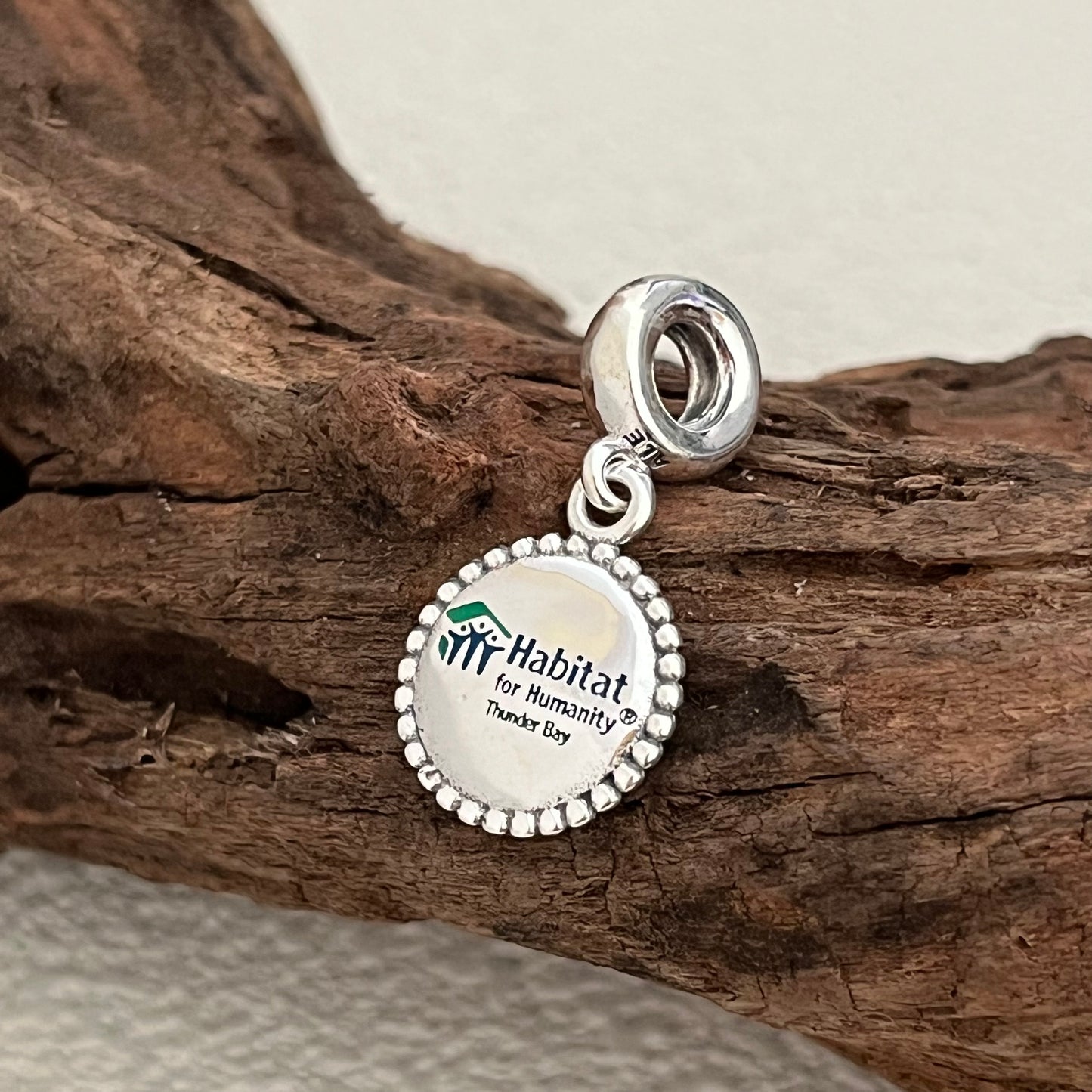 Habitat For Humanity Thunder Bay Exclusive Dangle Charm Pendant for Pandora Bracelet