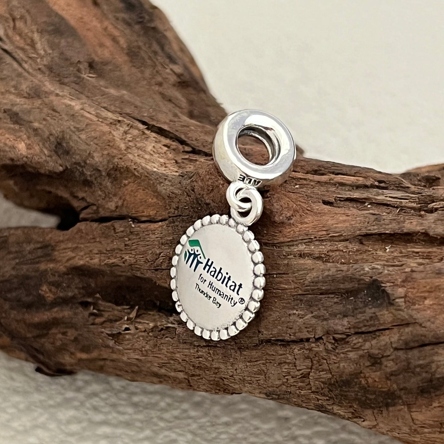 Habitat For Humanity Thunder Bay Exclusive Dangle Charm Pendant for Pandora Bracelet