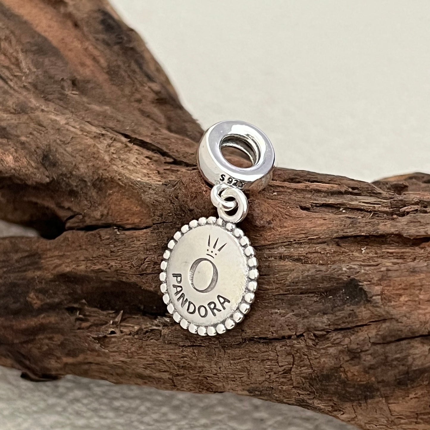 Habitat For Humanity Thunder Bay Exclusive Dangle Charm Pendant for Pandora Bracelet