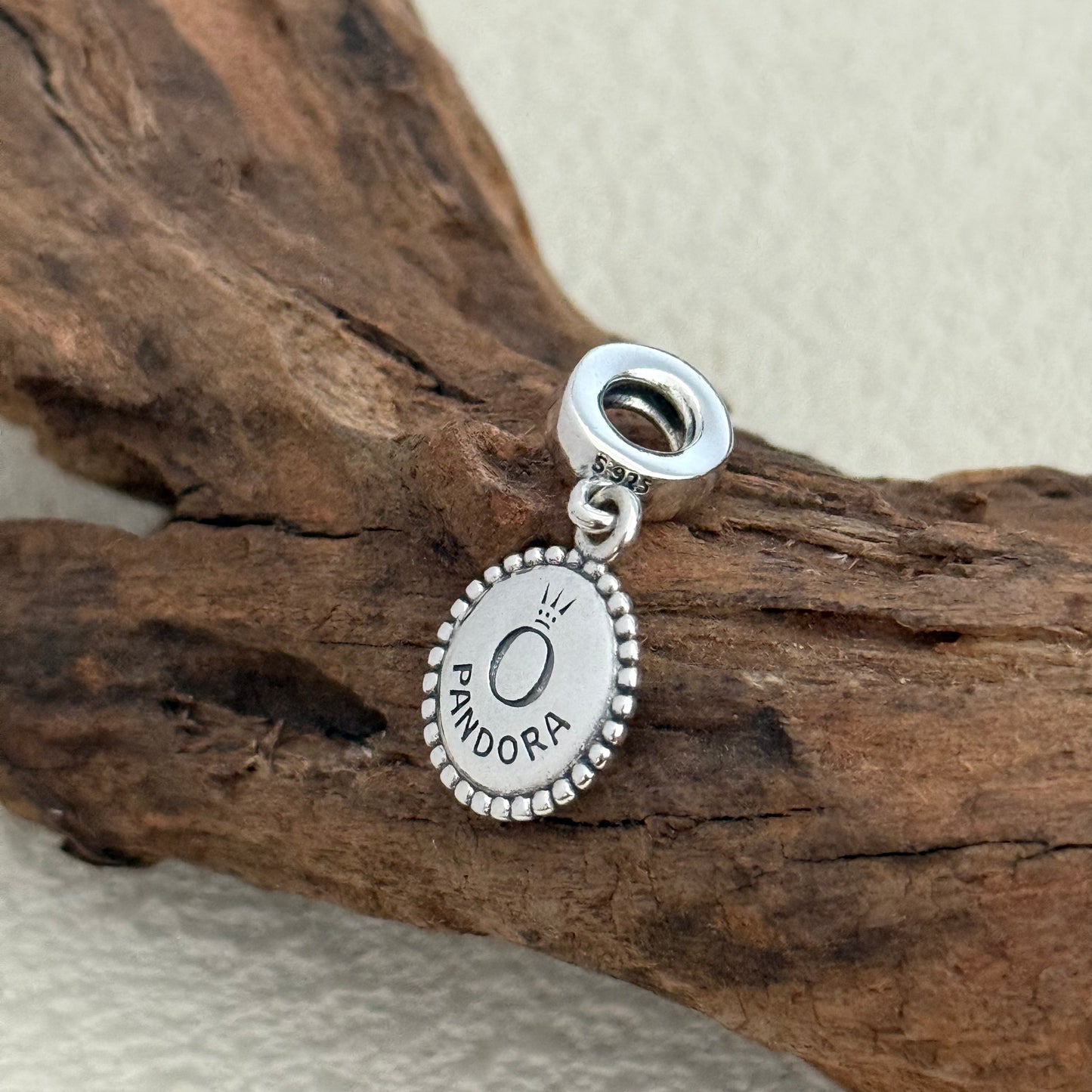 Seattle Seahawks Exclusive Dangle Charm Pendant for Pandora Bracelet