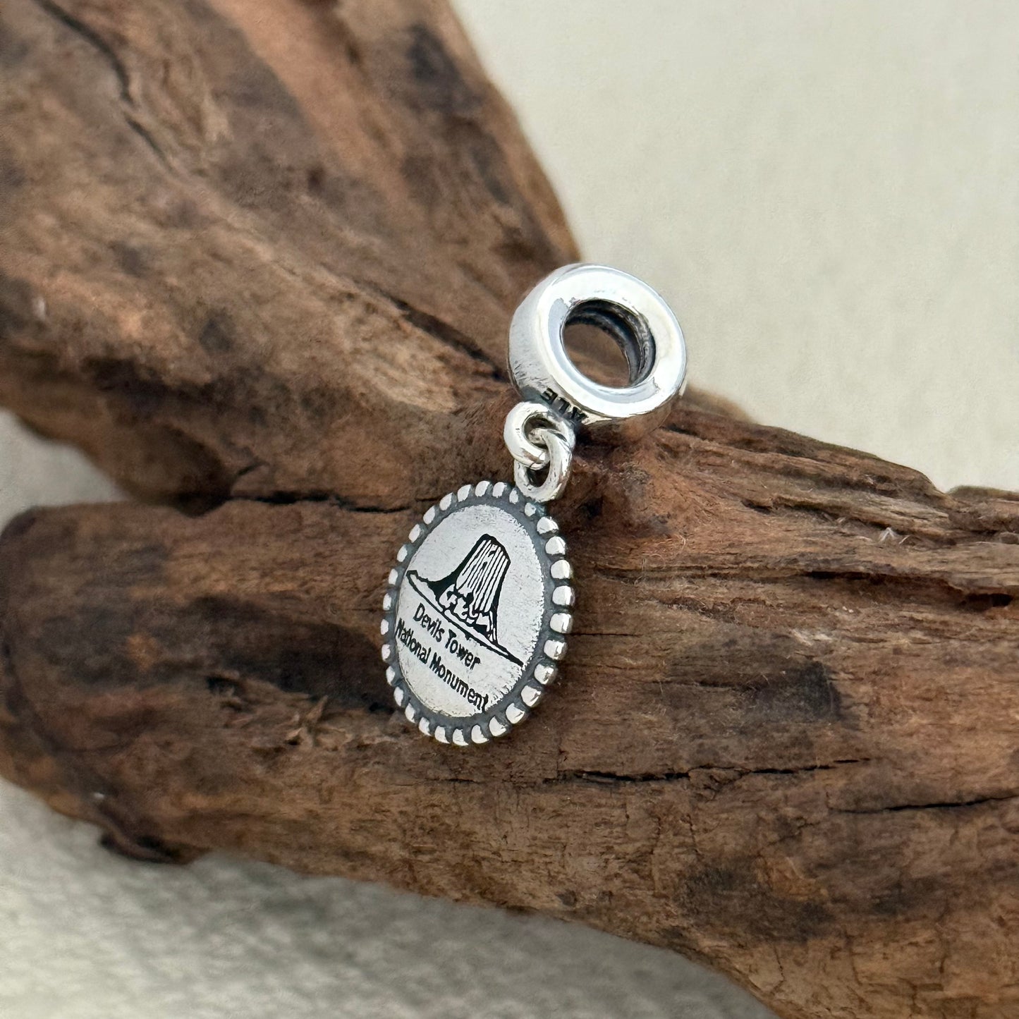 Devils Tower National Monument Exclusive Dangle Charm Pendant for Pandora Bracelet