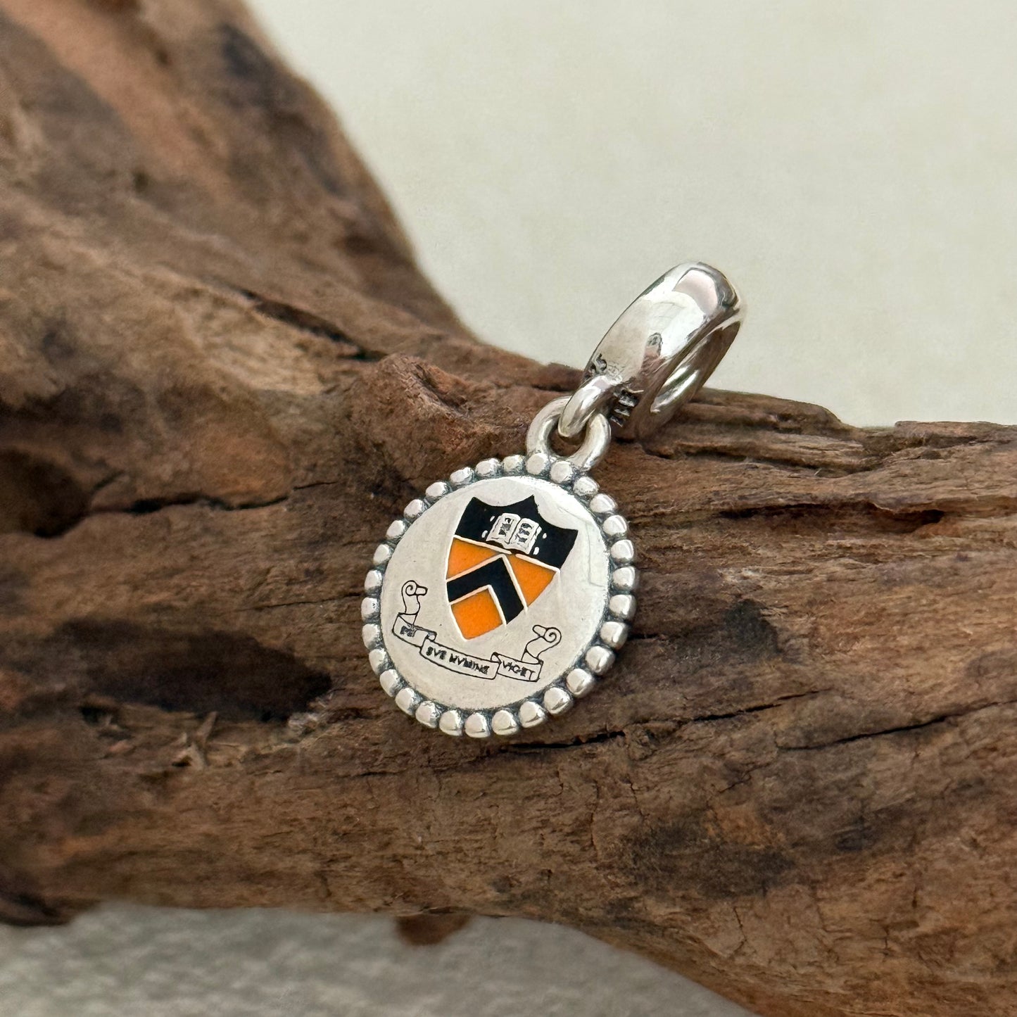 Princeton University Exclusive Dangle Charm Pendant for Pandora Bracelet