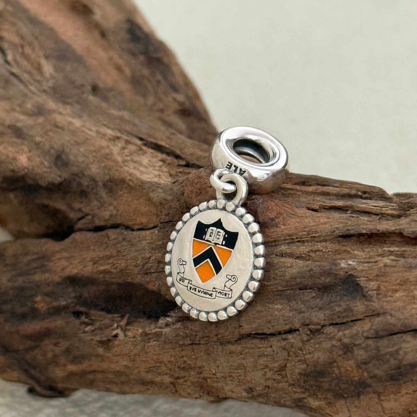Princeton University Exclusive Dangle Charm Pendant for Pandora Bracelet