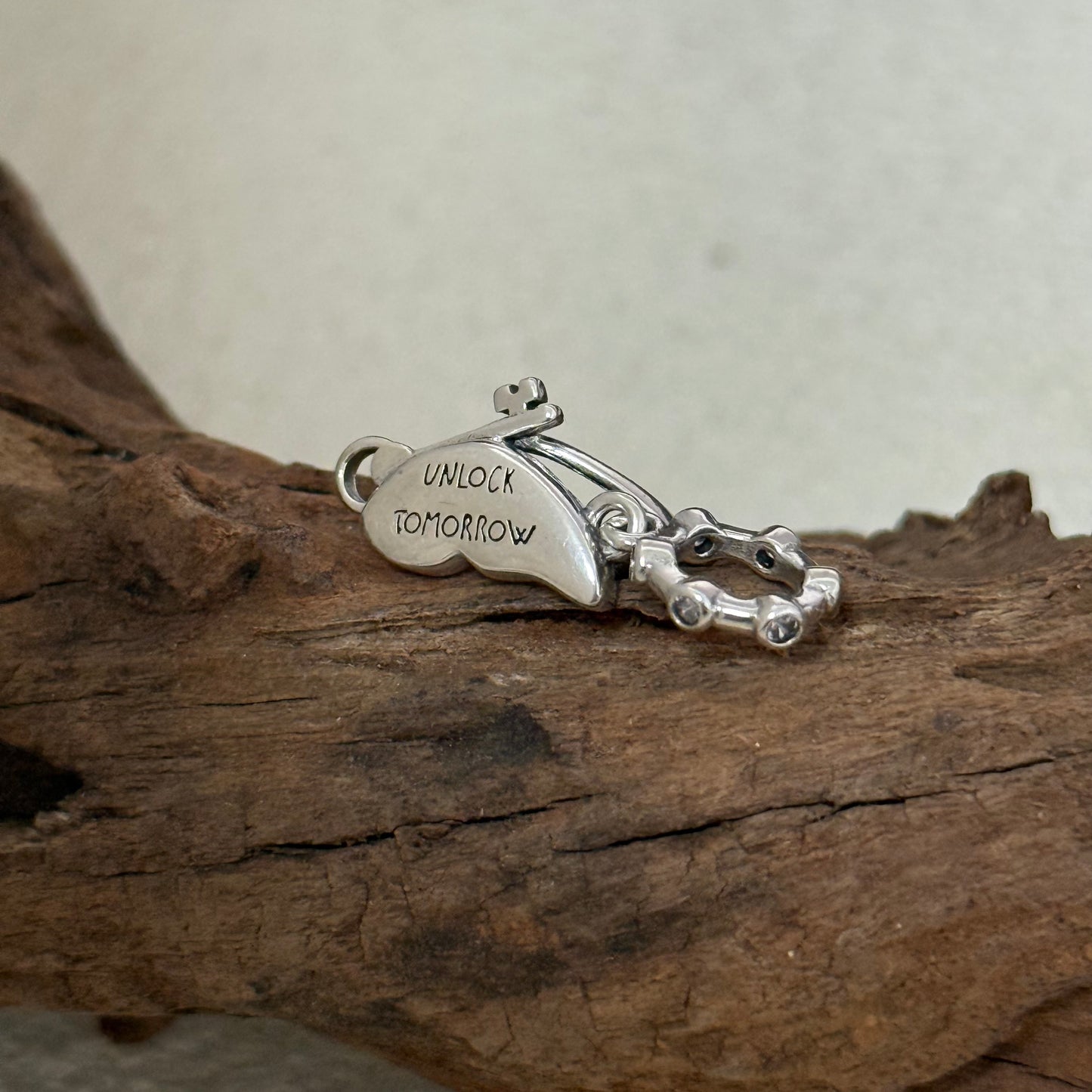 Pandora Winged Dangle Charm