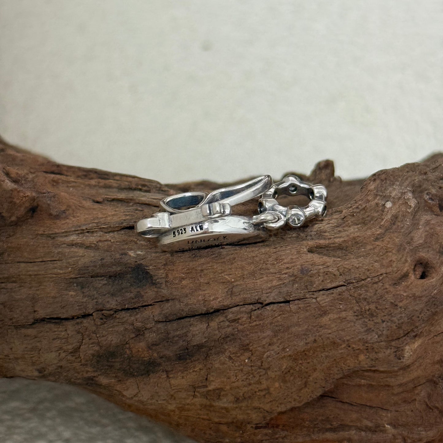 Pandora Winged Dangle Charm