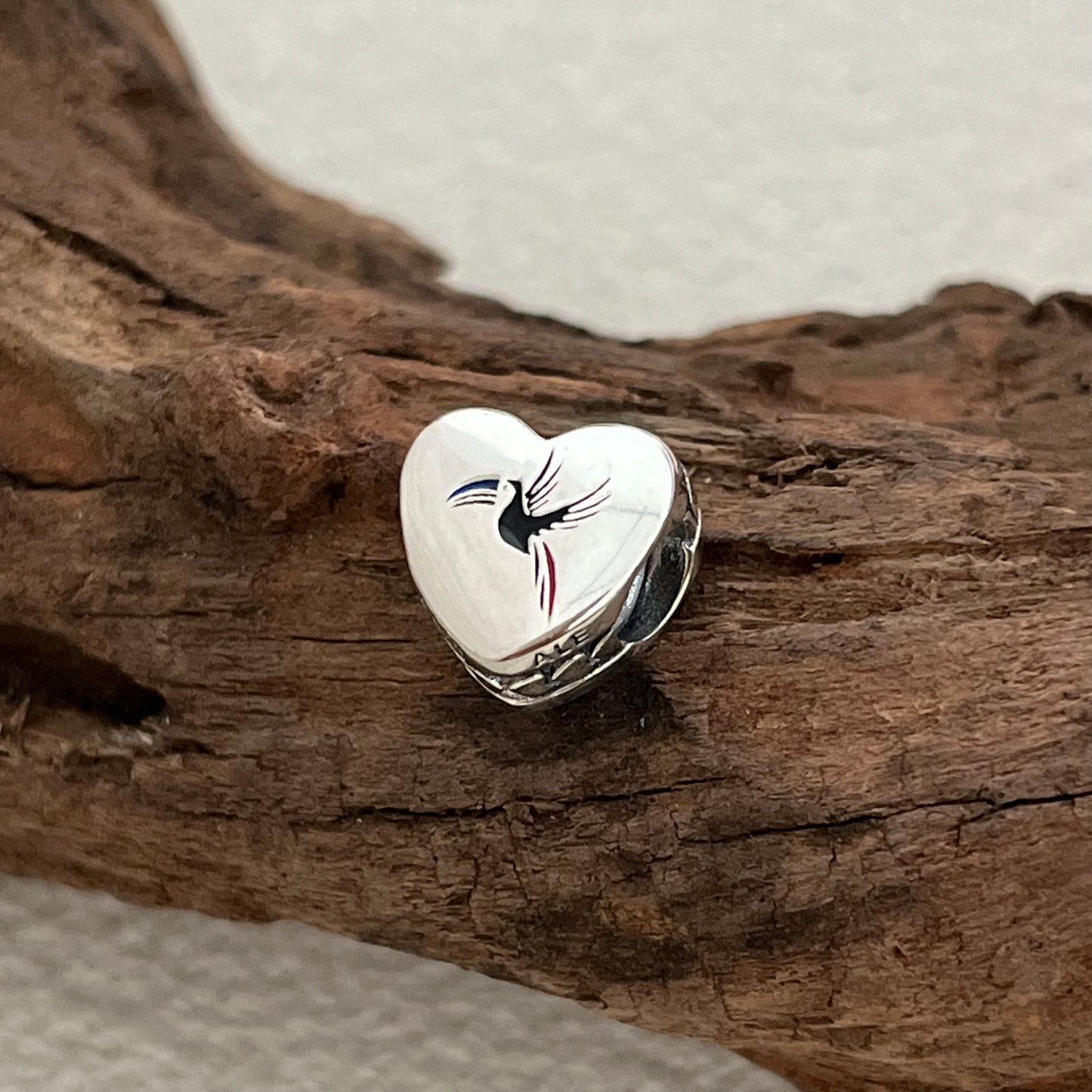 Belize Rainbow-billed Exclusive Heart Bead Charm for Pandora Bracelet