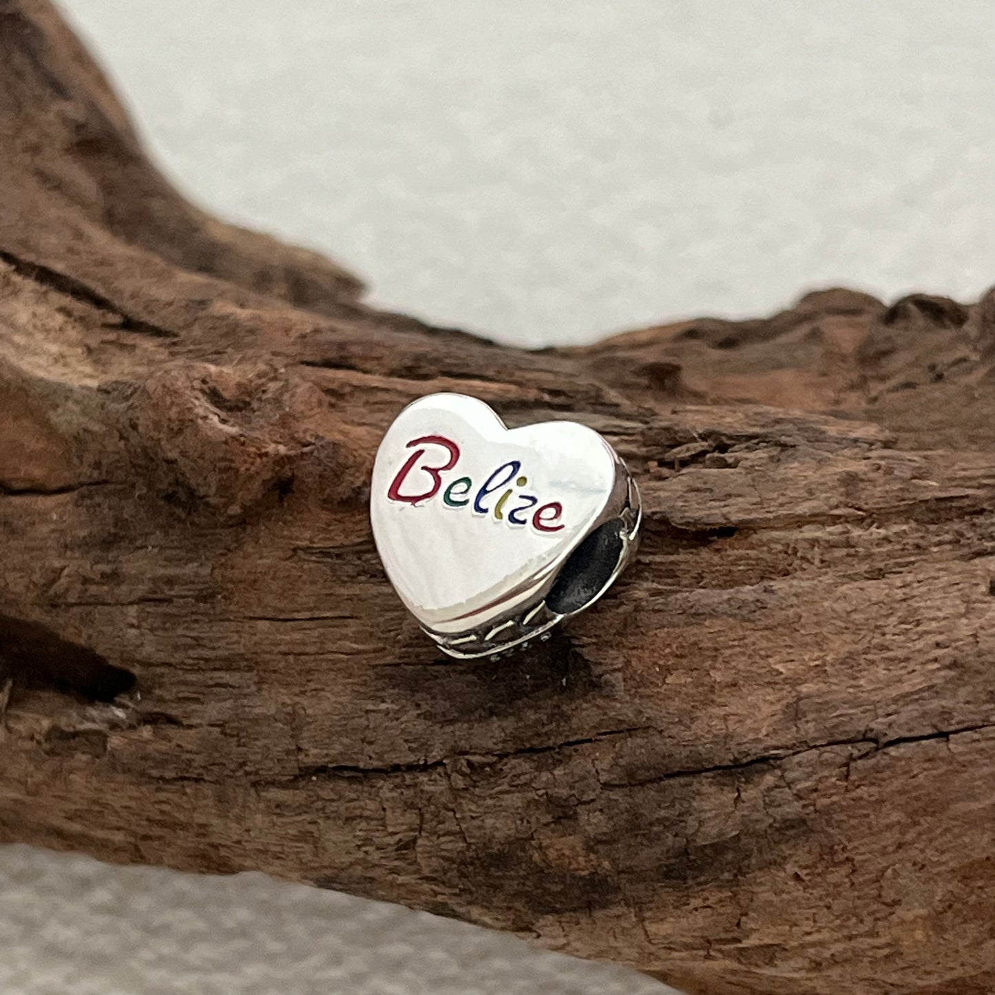 Belize Rainbow-billed Exclusive Heart Bead Charm for Pandora Bracelet