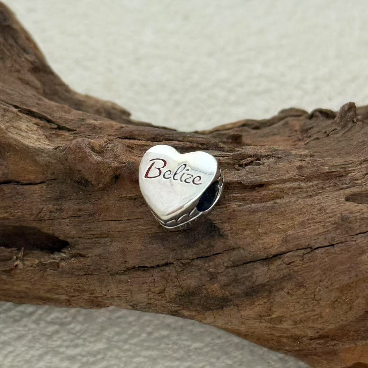 Belize Rainbow-billed Toucan Charm Exclusive Heart Bead Charm for Pandora Bracelet